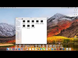 一看就会的 OpenCore Install MacOS 教程