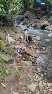 Once a week ko nalang sila na bibisita.😔 | Jay Jay Hernandez