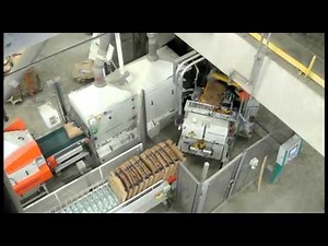 Cement packing plant