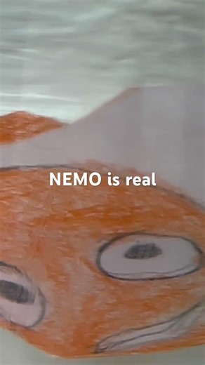 I find Nemo in real Life