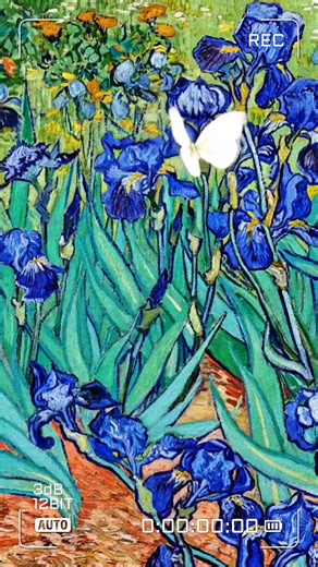 KORDHELL/V. van Gogh #vangogh #kordhell #art #music