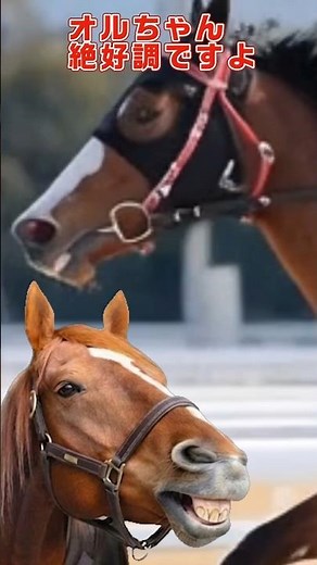 【止まらない】オルフェーヴル産駒、浦和と名古屋で連勝の快進撃
