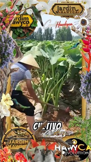 Garden of Species (#145) #plants Nature in Detail #landscaping #nature #green #botany