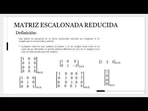 Matriz Escalonada y Escalonada Reducida ¿Qué es?