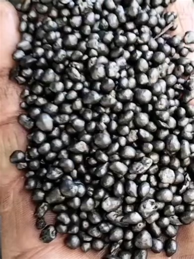 Coated Organic Fertilizer Granules | Final Appearance & Surface Quality This video shows the final effect of coated organic fertilizer granules after the coating process. After granulation, the fertilizer pellets enter the rotary coating machine, where a protective layer (such as oil, sulfur, resin, or anti-caking agent) is evenly applied to the surface. The result is smoother, brighter, and more uniform granules with enhanced storage and application performance. 🔎 What You Will See Uniform and