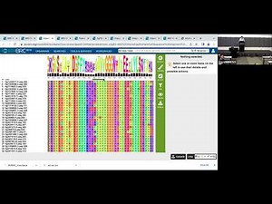 MSA and SNP Analysis Service