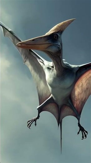 Pterodactylus pterosaur (Jurassic period)