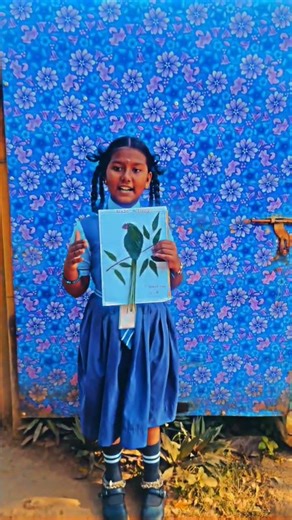 Birds Activity model......school projects ideas