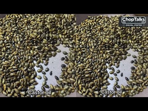 I did it , Learn how to extract pure castor oil at home the easy way. #CastorOil #DIYBeauty