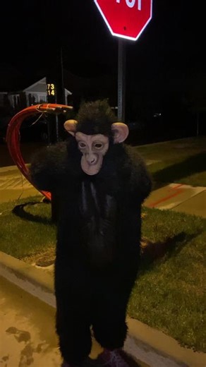 Sully‼️🪩 (@supercoolsully)’s videos with Creep - Radiohead