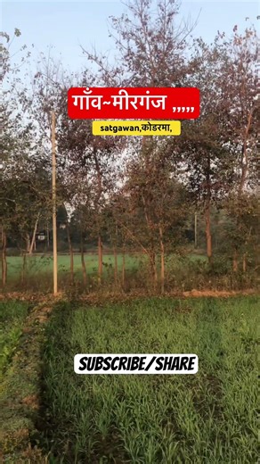 सुकून और शांति दोनों मिले ! समझ लेना अपना गाँव है ! #mirganj #satgawan #koderma #villagelife #gaon