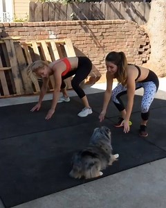 523K views · 9.2K reactions | If burpees aren’t hard enough, you can always add a barrel roll.   IG @teslatheminiaussie | CrossFit | Facebook