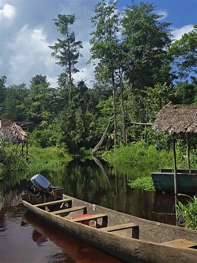 This off the beaten track for some Guyanese but for many indigenous Guyanese and mainly the #Warrao People, it is one of the paths between #Venezuela and #Guyana this is the Corosima or Black Water landing which can take you to the #Amacuro River and into Venezuela. Before the colonizers, our land was borderless with our indigenous people being its best guardians. #fyp