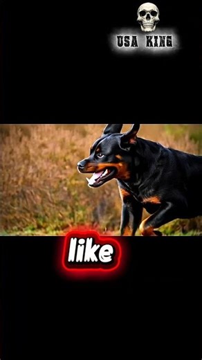 Title (American Style):“Fearless Guardian in the Wild”