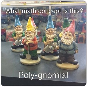 Unit 5 - Polynomials