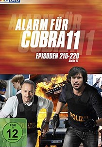 Alerta Cobra temporada 29 - Ver todos los episodios online
