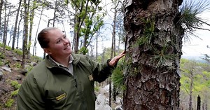 SCI NC:Science in the Forest Season 6 Episode 11