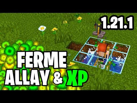 Farm in Allay and Easy XP 1.21.1! Minecraft Java