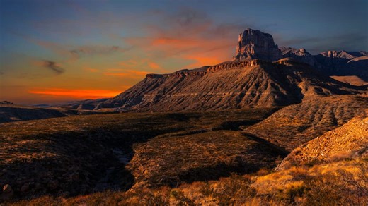 The Complete Animal List of Guadalupe Mountains National Park