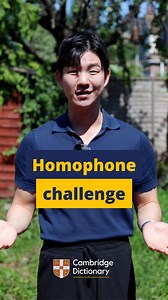 How’s your homophone knowledge? 👂🔍 Try our challenge! 🙌 Which ones can you hear? #Homophones #EnglishLearning #CambridgeDictionary | Cambridge Dictionary