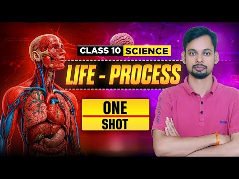 Life Processes Complete Chapter🔥| CLASS 10 Science | NCERT Covered| Rajneesh Singh