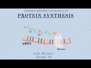 Protein Synthesis | DNA: Code of life | Life Science grade 12 | Easy to learn