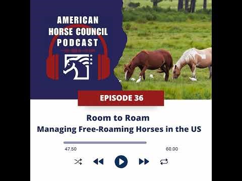 Room to Roam - Managing Free-Roaming Horses Across the US