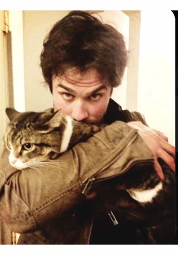 Desejos de um Vampiro: Damon Salvatore em 2026