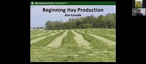 Hay Production