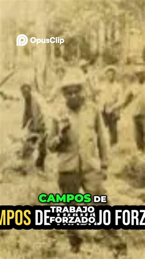 Cuba La Historia Oculta de las UMAP