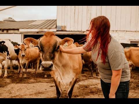 Milking Video - Stanchion Barn