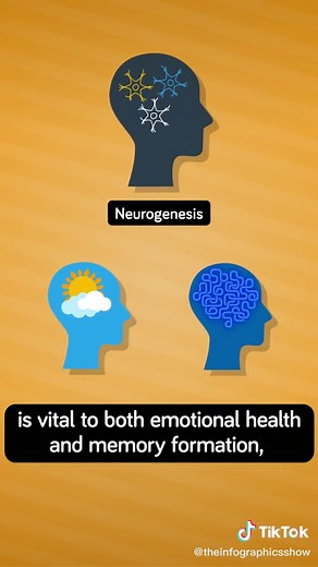 How to Grow New Brain Cells: Science Facts