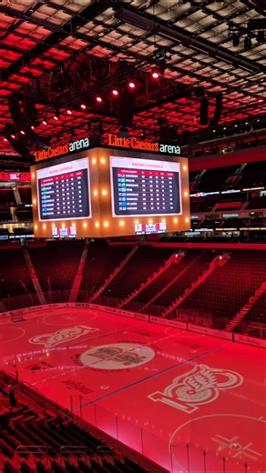 Red Wings Vs Boston Bruins! Suite Life at LCA for the Detroit Red Wings