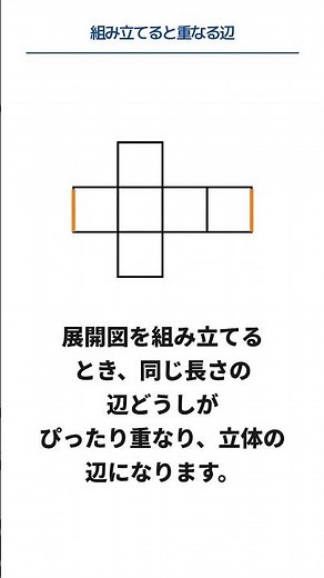 【中学1年/数学】展開図の読み取りと作成 #勉強 #中学数学