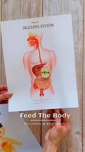 🍏 DIGESTIVE SYSTEM 🧲 DIY @MontessoriFromTheHeart ♡ ▫️▫️▫️▫️ This is a super easy DIY to explore how the digestive system works. ⠀ I had created a few 🖨 F.R.E.E PDF versions you can get 🎁 from my stories🥰 ⠀ ⠀ 📣Have you joined my Montessori Membership❓Video 🎞tutorials, lesson presentations,🖨 printables and a 🌐private community🫶! Join now! ⠀ ⠀ ♥️The post of you want to see more of similar ideas! ⠀ ⠀ 𝒳𝒪, 𝒜𝓃𝓎𝒶 𝑴𝒐𝒏𝒕𝒆𝒔𝒔𝒐𝒓𝒊𝑭𝒓𝒐𝒎𝑻𝒉𝒆𝑯𝒆𝒂𝒓𝒕♥︎ _____________ #montessoriath