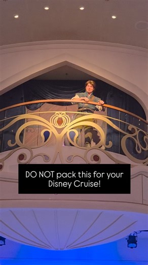 Nicole | Travel Adventurer ✈️ on Instagram: "🚫 Commonly packed items that will be confiscated if found in your luggage on a Disney Cruise! **Hairdryers must be 220V/2000 watts max or 110V/1500 watts max** 1. Irons & steamers 2. Surge-protected power strips 3. Remote controlled devices (drones, toy vehicles, and droids) 4. Hoverboards, self-balancing scooters, wheeled recreational devices 5. Weapons of any kind (exceptions for plastic pirate swords, Thors hammer, and lightsabers) 6. Alcohol pack