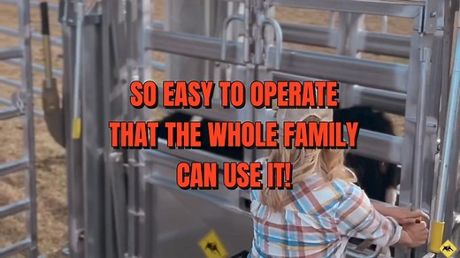 13K views · 41 reactions | River King Cattle Chute on SALE! This awesome piece of machinery that helps you work cattle on your own includes Built in Vet, Palpation Cage Hydralock head holder Scale Ready Chute Floor Message your ZIP for a price delivered to your ranch. | 4 Rivers Ranch Equipment | Facebook