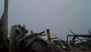 4.6K views · 97 reactions | Sometimes, especially late in the season, ya just need to let the Decoys do the work, no calling, no flagging. Sorry for the bad quality video, but we only had a cell phone. | Bigfoot Decoys | Facebook