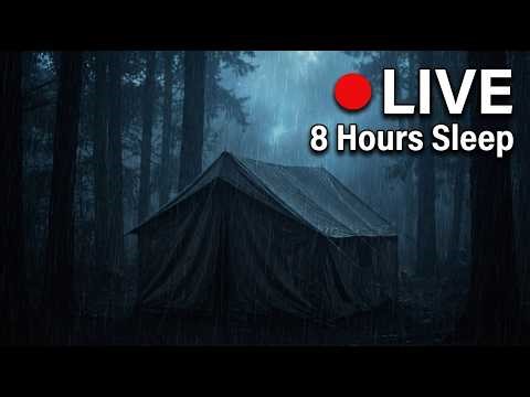 🔴 LIVE Heavy Rain on Canvas Tent | All Night Deep Sleep | 8 Hours