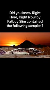 1.9M views · 20K reactions | A masterpiece of sampling by one of the...