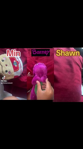 Barney Live in New York City Hi Shawn