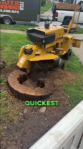 The Process Of Stump Grinding #shorts