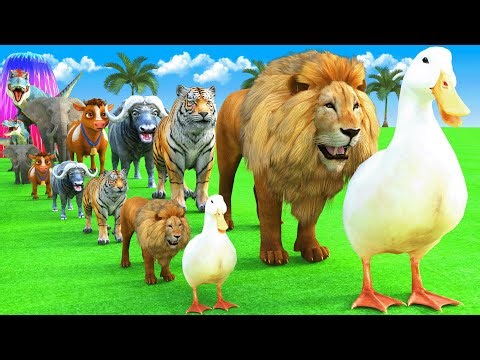 Long Slide Game With Cow Elephant Gorilla Hippopotamus Tiger - 3d Animal Game - Funny 3d Animals