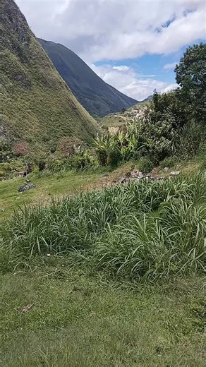 Videos de Mercy (@mercyedithtapia) con “sonido original - Relatos DBZ”