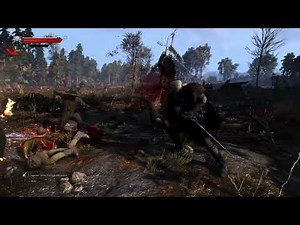 Witcher 3 My Favorite Combat Mods Gameplay