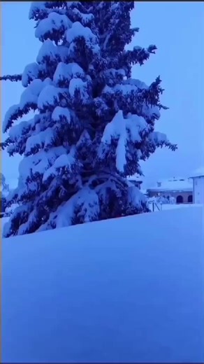 #feliz_navidad#_guatemala🇬🇹😍🔥