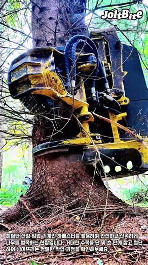 산림 임업 기계 하베스터의 나무 절단 및 벌목 과정 #worker #process #forestryequipment #woodworking #lumberjack