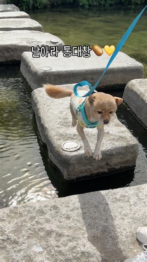 울보감자 삐삐의 위대한 도전;;;ㅋㅋㅋㅋ