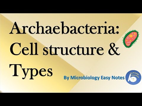 Archaebacteria Cell Structure and it's types