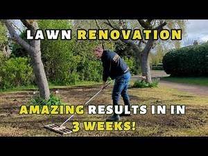 Scarifying the lawn (and what to do after!)